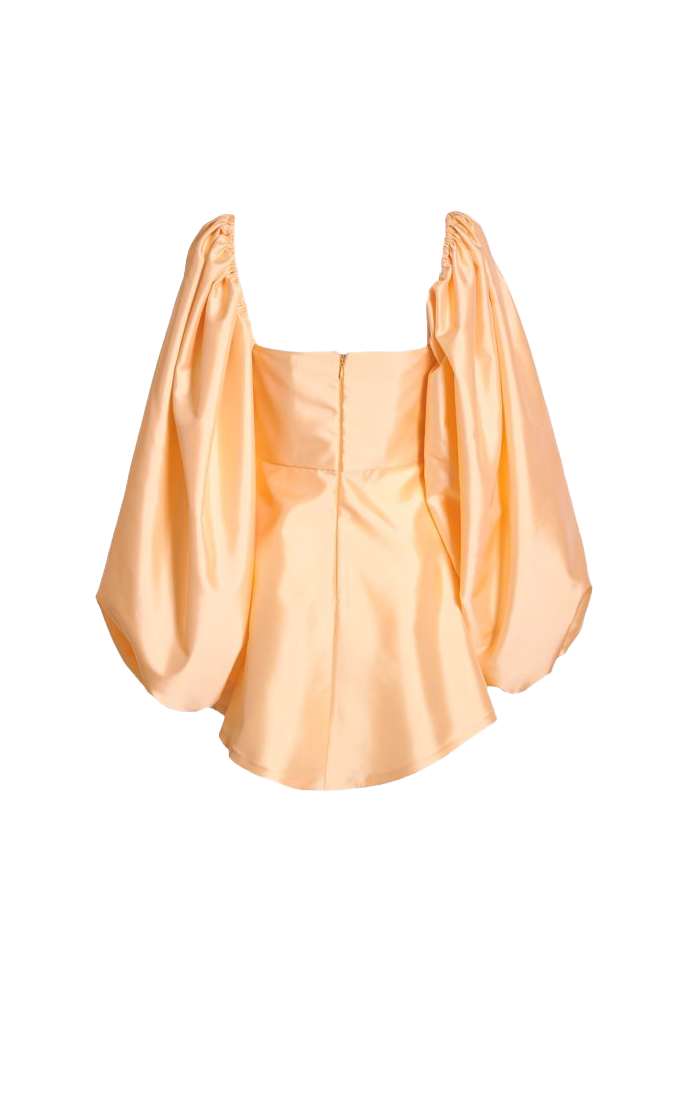 WANDERING - Duchesse Mini Dress