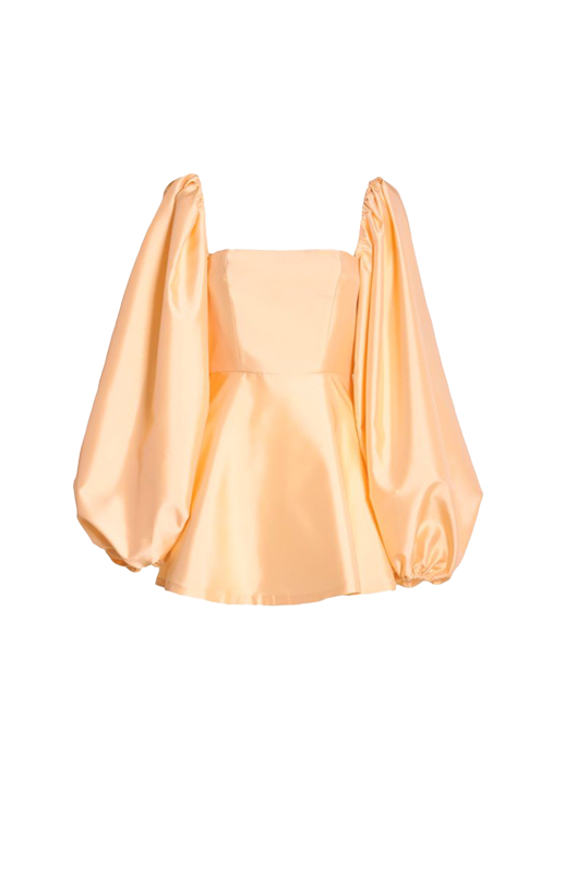 WANDERING - Duchesse Mini Dress